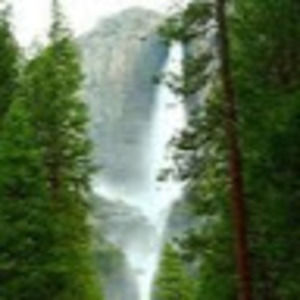 Meet your Posher, Isaac